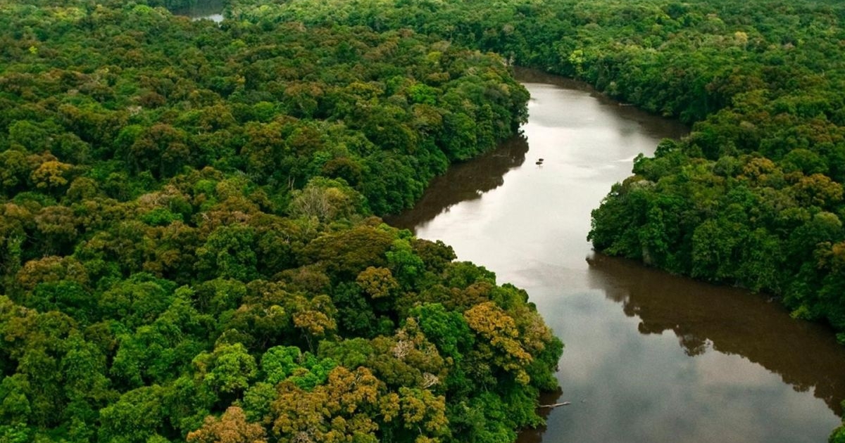 Fotos Dos Biomas Brasileiros